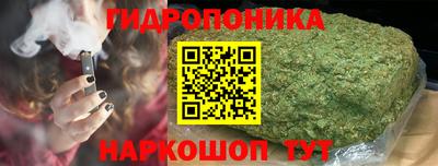трава Бердск