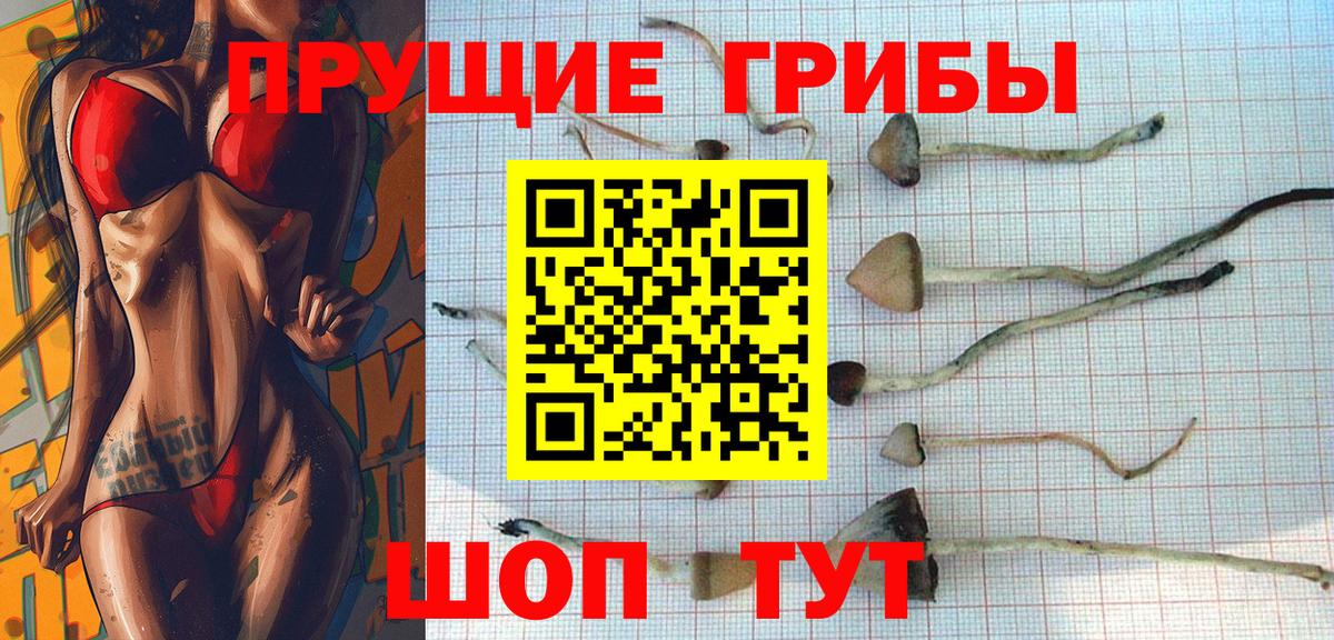 Бузулук  Псилоцибиновые грибы ЛСД  Псилоцибиновые грибы ЛСД  Вход с VPN 